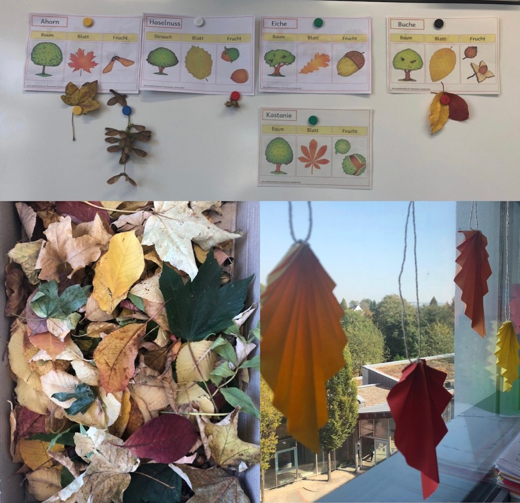 Der Herbst ist da! – Städtische Grundschule Klauberg in Solingen